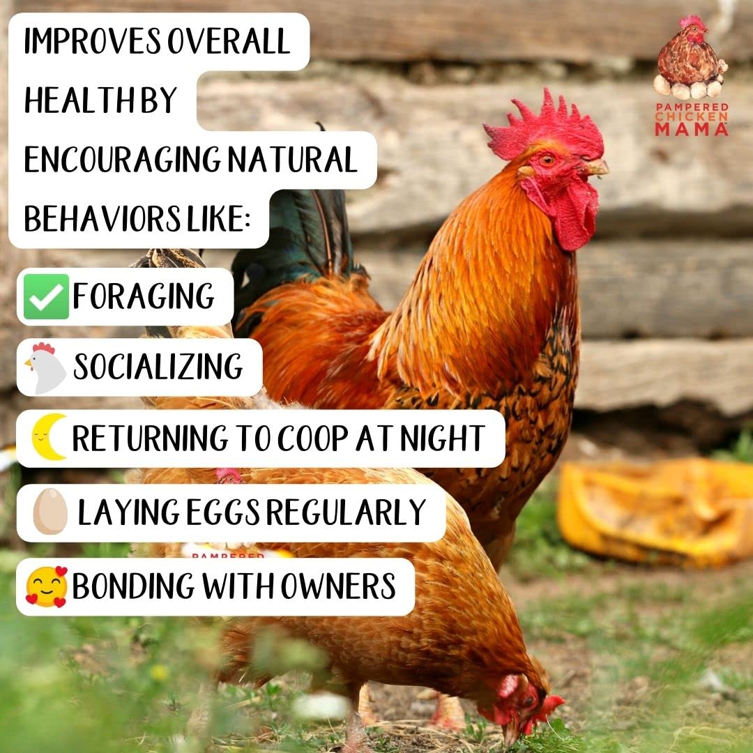 Pampered Chicken Mama kelp Canada origin highlights quality and traceability