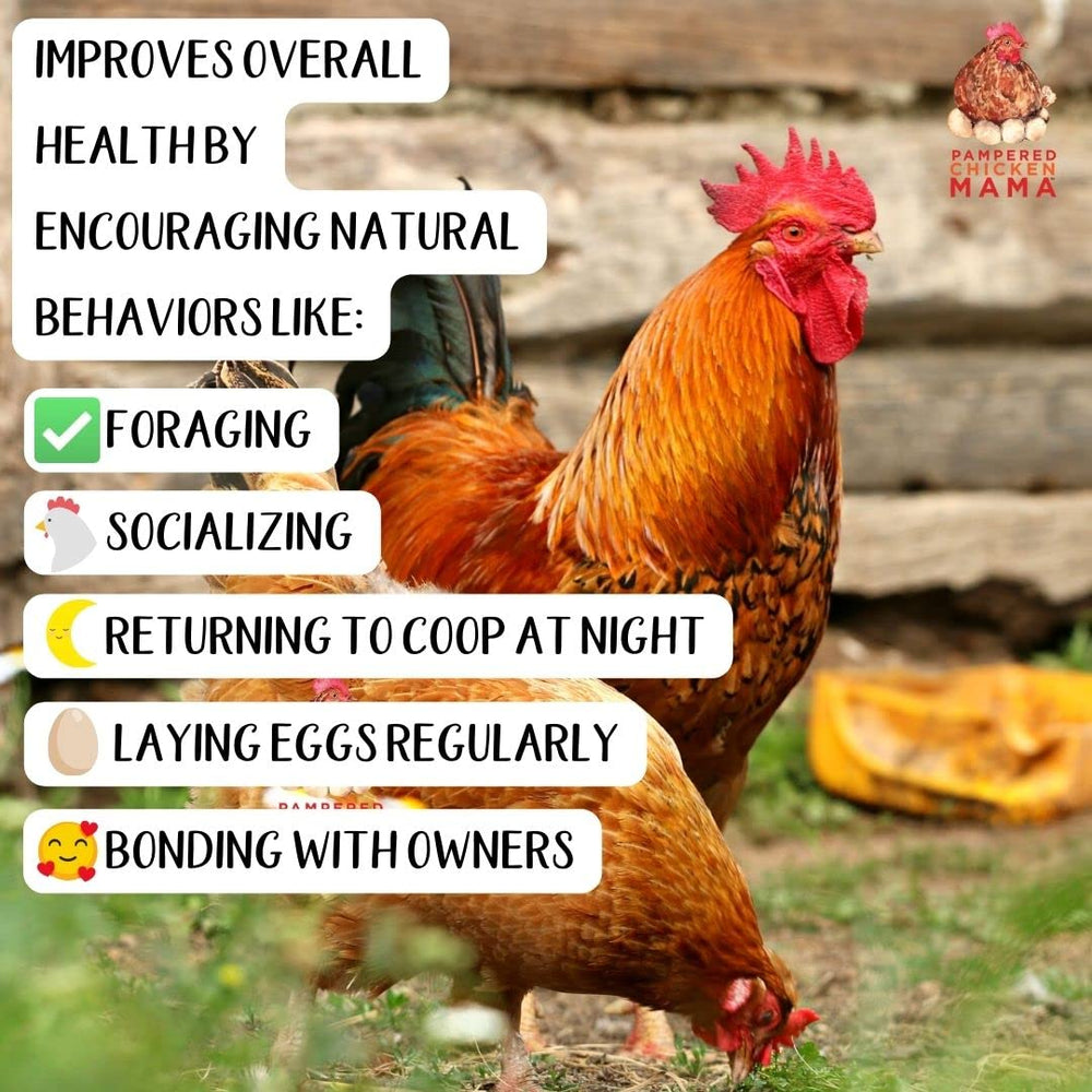 Pampered Chicken Mama kelp Canada origin highlights quality and traceability