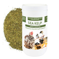 Pampered Chicken Mama kelp bottle pour shows a natural feather health supplement for poultry