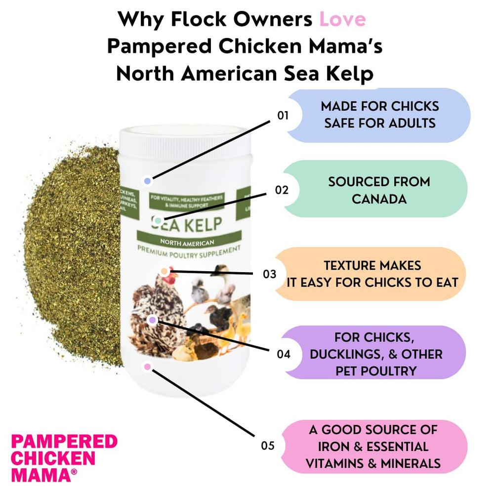 Pampered Chicken Mama kelp natural sea ingredient emphasizes minerals for vitality