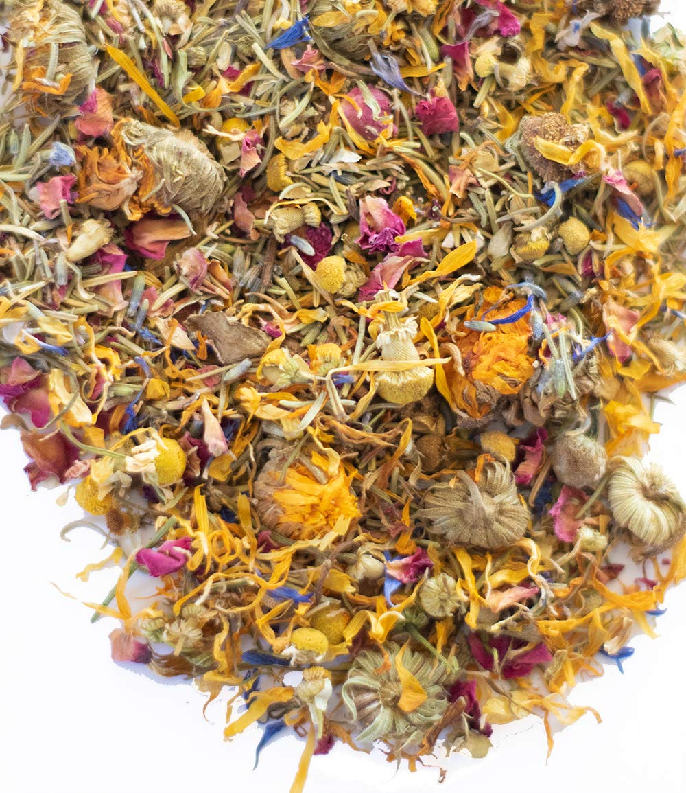 Pampered Chicken Mama calendula close-up highlights soothing floral petals for nesting.