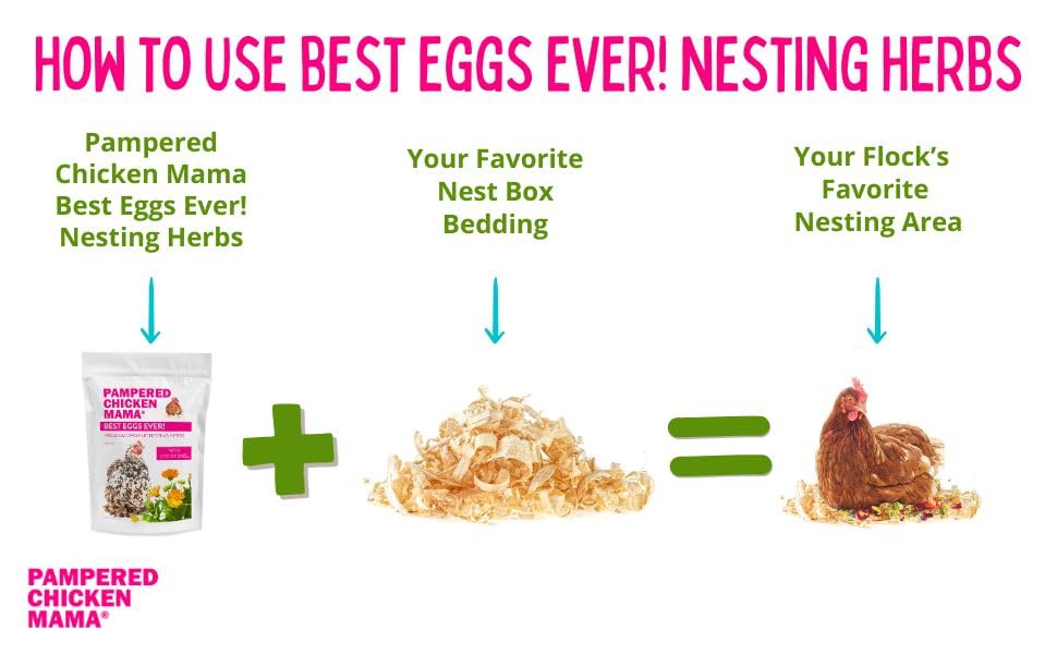Pampered Chicken Mama dust bath moment with herbs for spa-like experience.