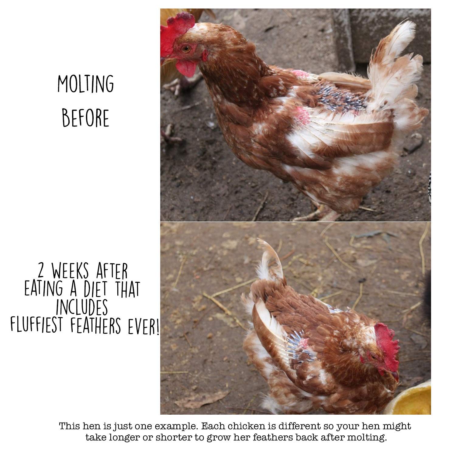 Pampered Chicken Mama nutritional label close-up highlights protein and minerals.