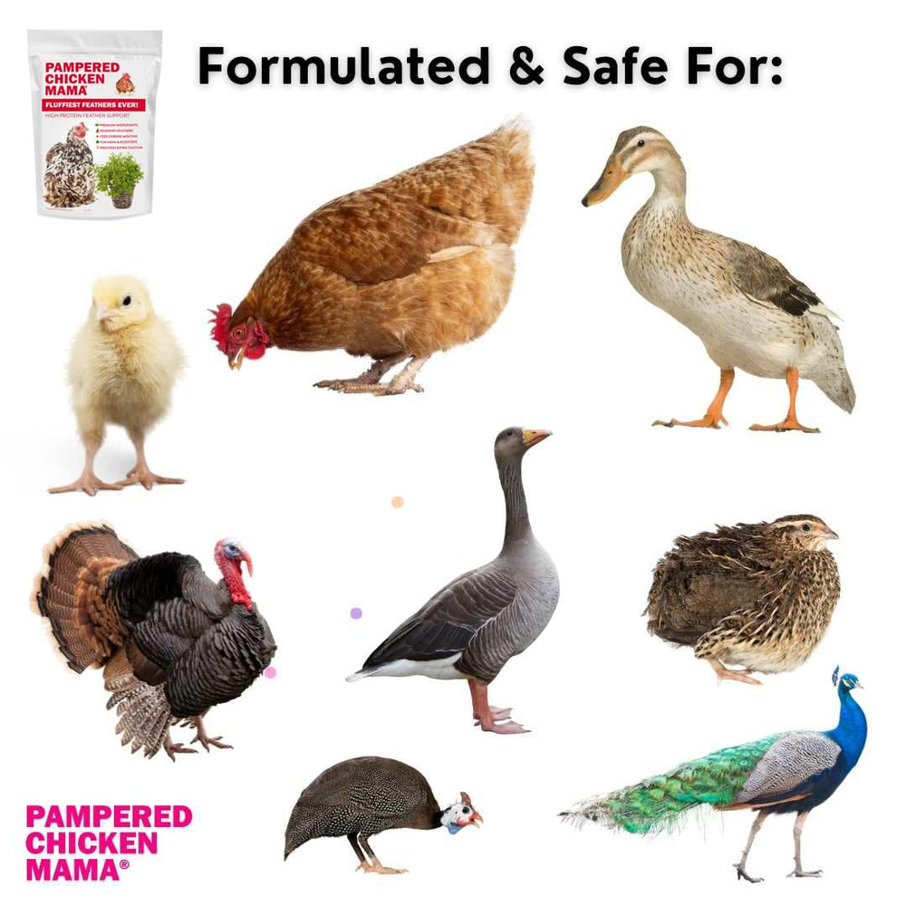 Pampered Chicken Mama product packaging emphasizing natural ingredients.