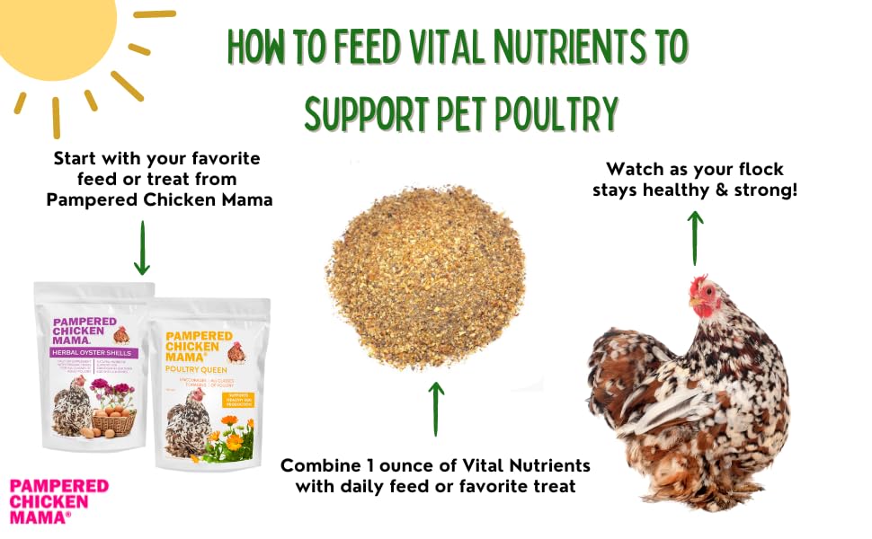 Chickens enjoy Pampered Chicken Mama Vital Nutrients during feeding time.
