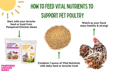Chickens enjoy Pampered Chicken Mama Vital Nutrients during feeding time.
