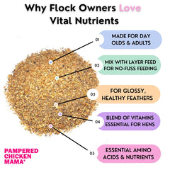 Pampered Chicken Mama vitamin powder being mixed into feed for healthy layers.