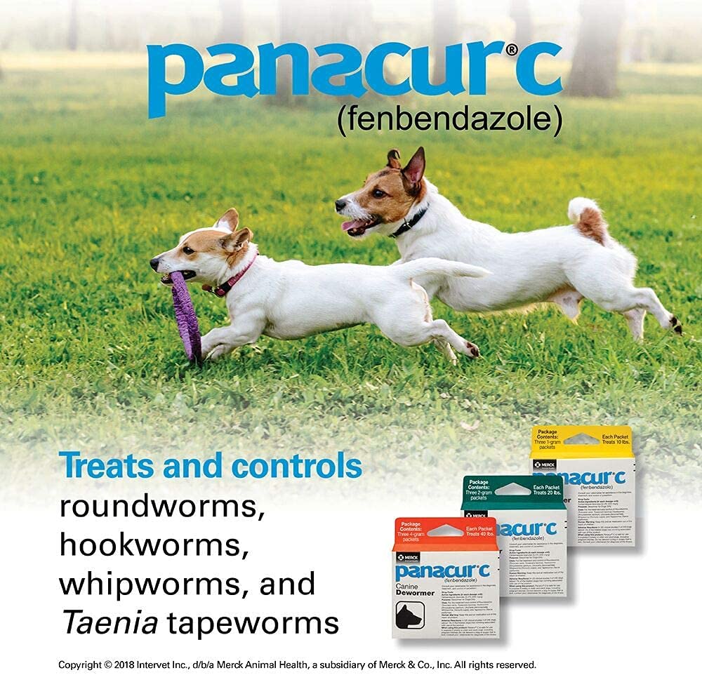 Close-up of Panacur C packets ready to measure doses.