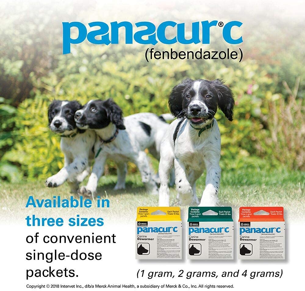 Panacur C product shot shows trusted parasite protection for dogs