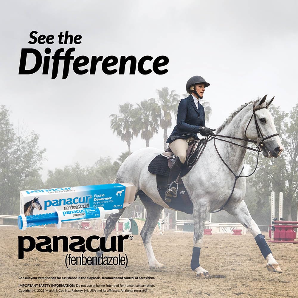 Panacur horse paste 3-pack display for convenient stocking