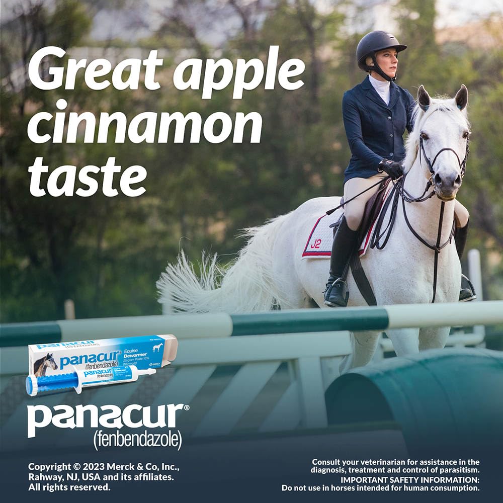 Panacur horse paste box front with branding