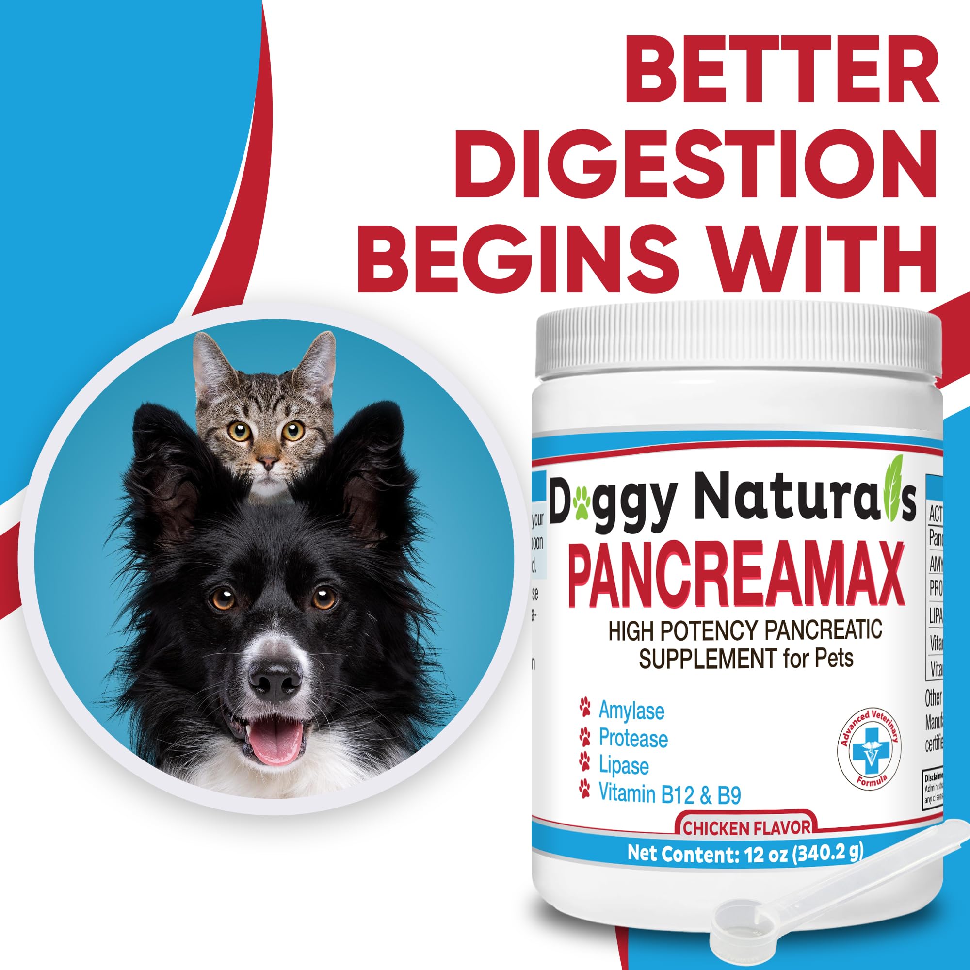 PancreaMax dust-free powder in a clean container.