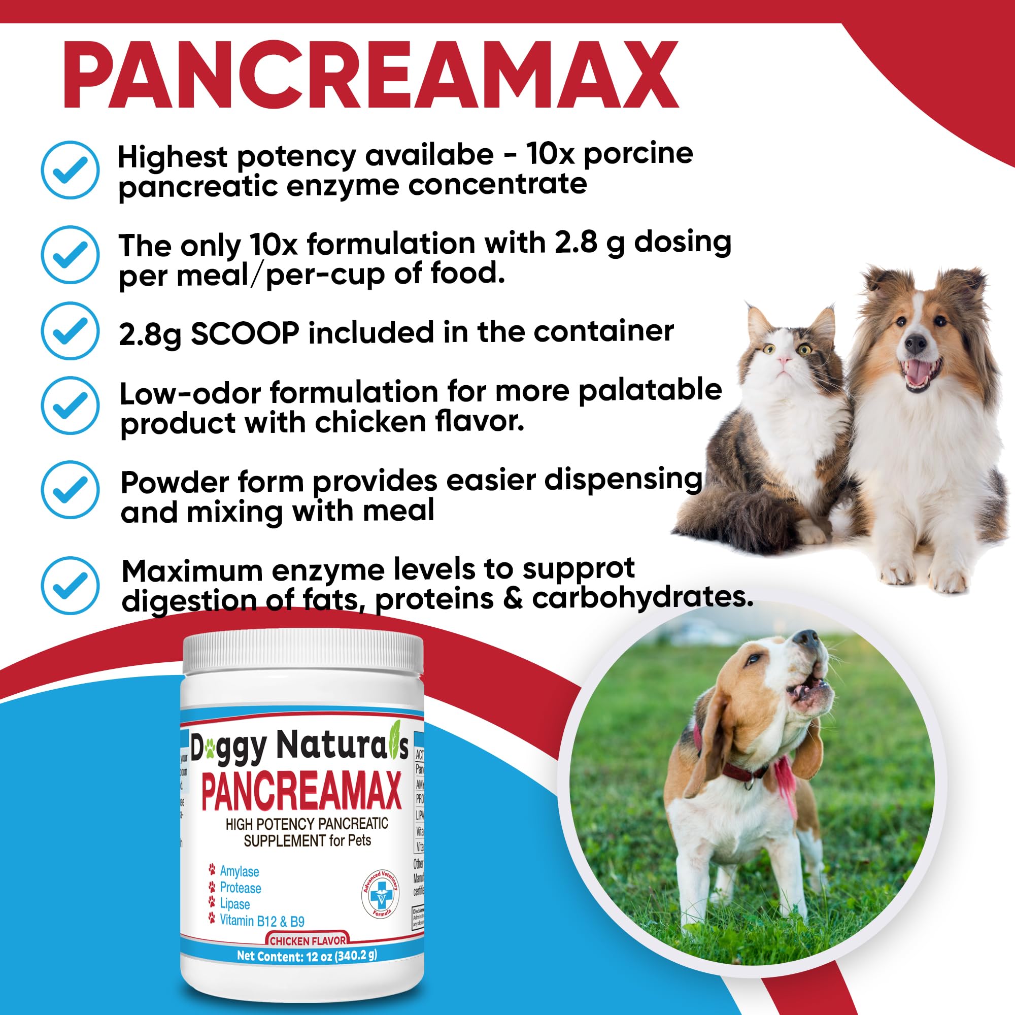 PancreaMax enzyme panel showing lipase, amylase, and protease.