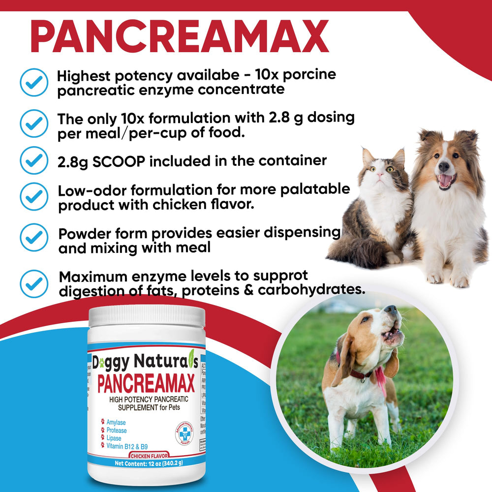 PancreaMax enzyme panel showing lipase, amylase, and protease.
