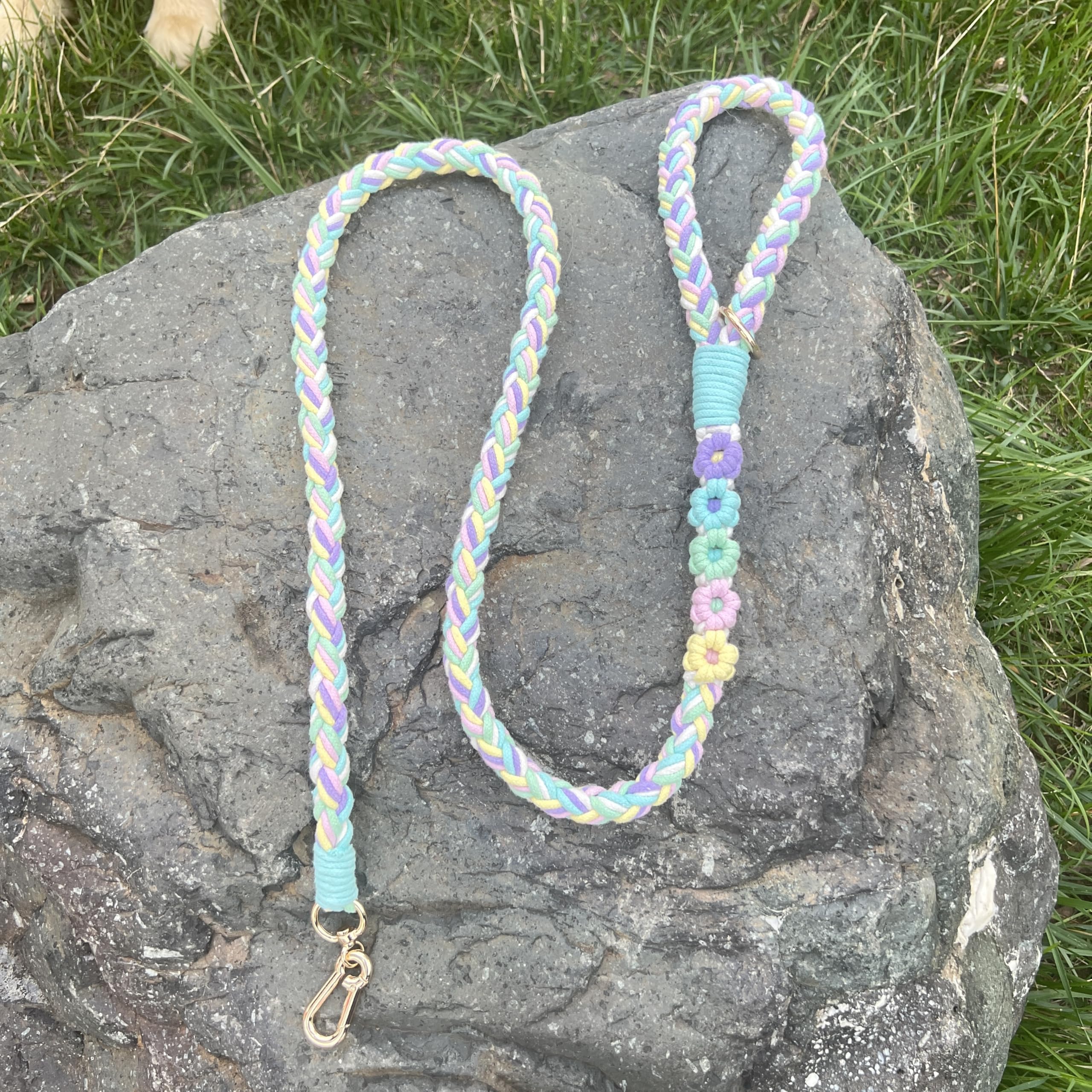 Panda Jianghu rainbow-color leash adds vibrant flair to outings.