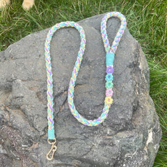 Panda Jianghu rainbow-color leash adds vibrant flair to outings.