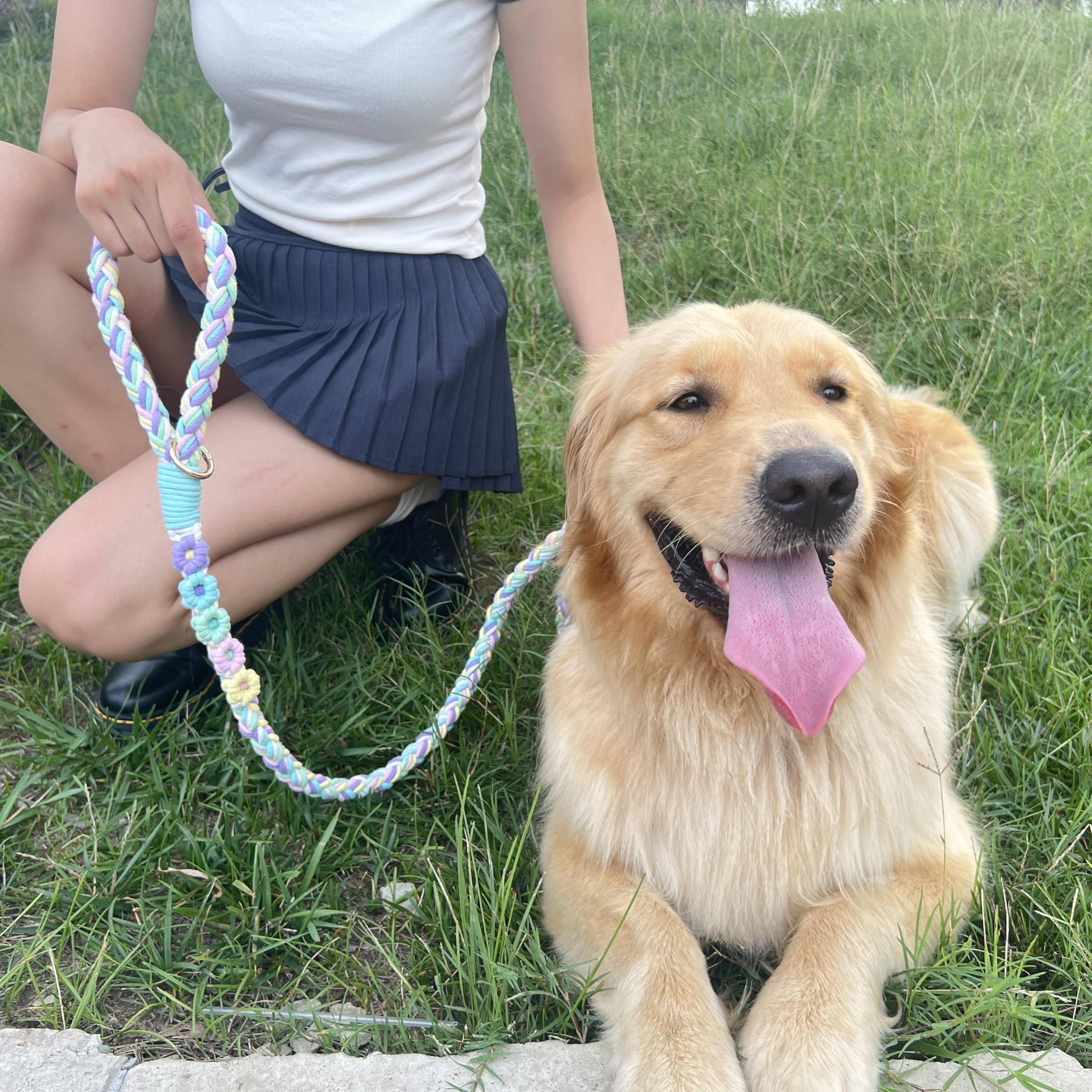 Panda Jianghu soft-grip leash protects hands during strong pulls.