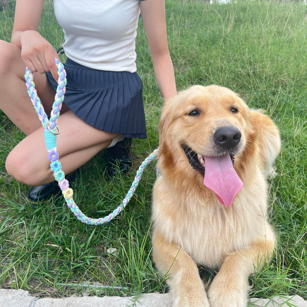 Panda Jianghu soft-grip leash protects hands during strong pulls.