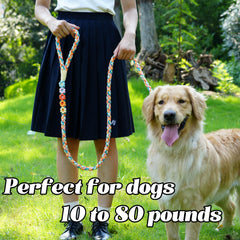 Panda Jianghu durable handwoven cotton leash built for daily wear and all-weather use.