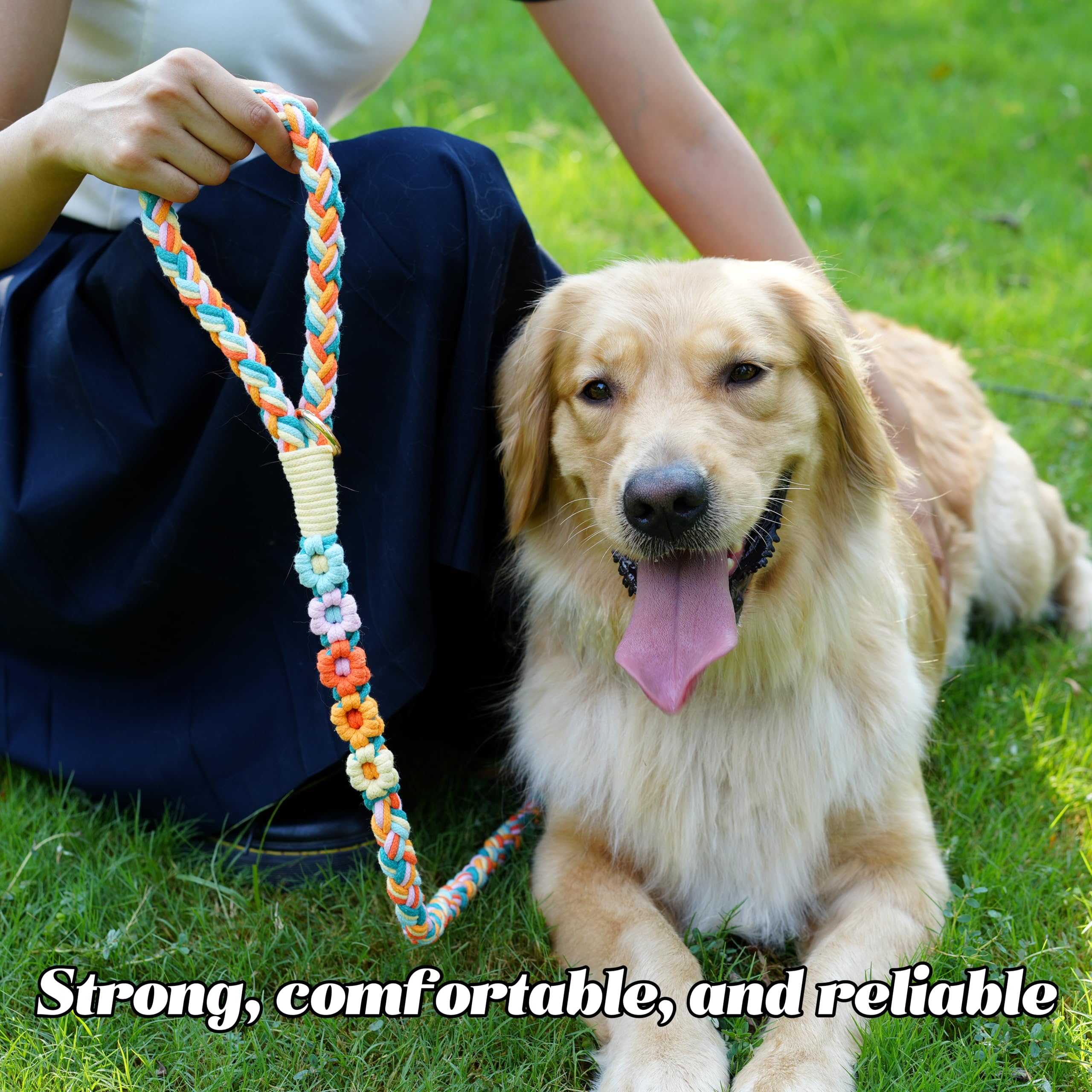 Panda Jianghu floral handle design adds chic style to daily dog walks.