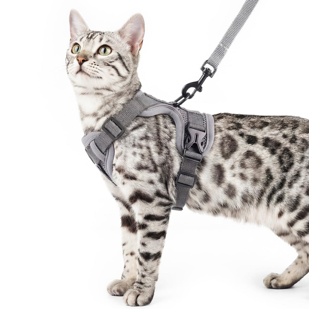 Pangdi cat harness with adjustable straps for secure, customizable fit during walks