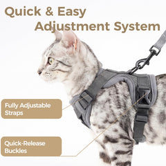 Pangdi harness with reflective strip enhances night visibility