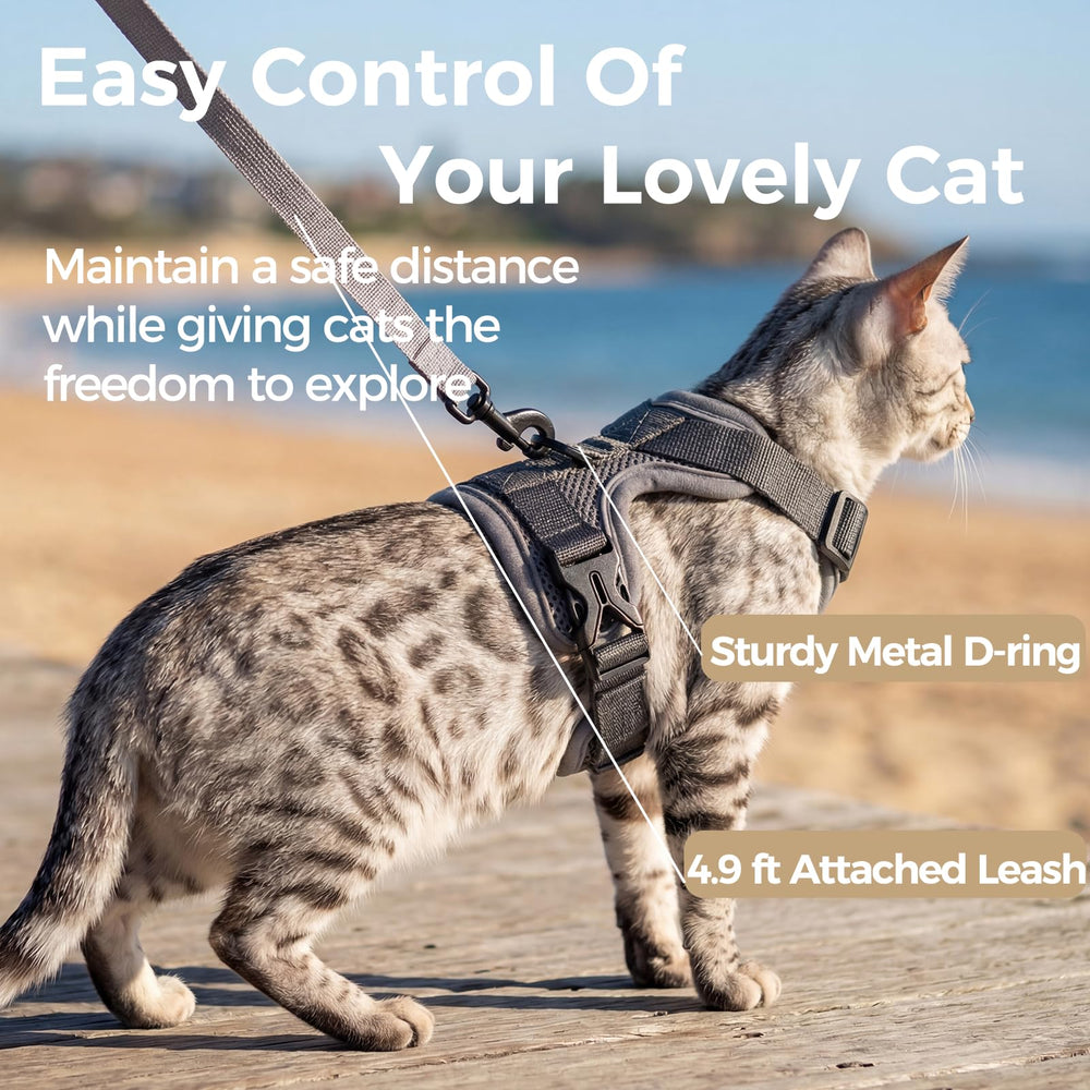 Pangdi leash-attached harness provides easy control on strolls