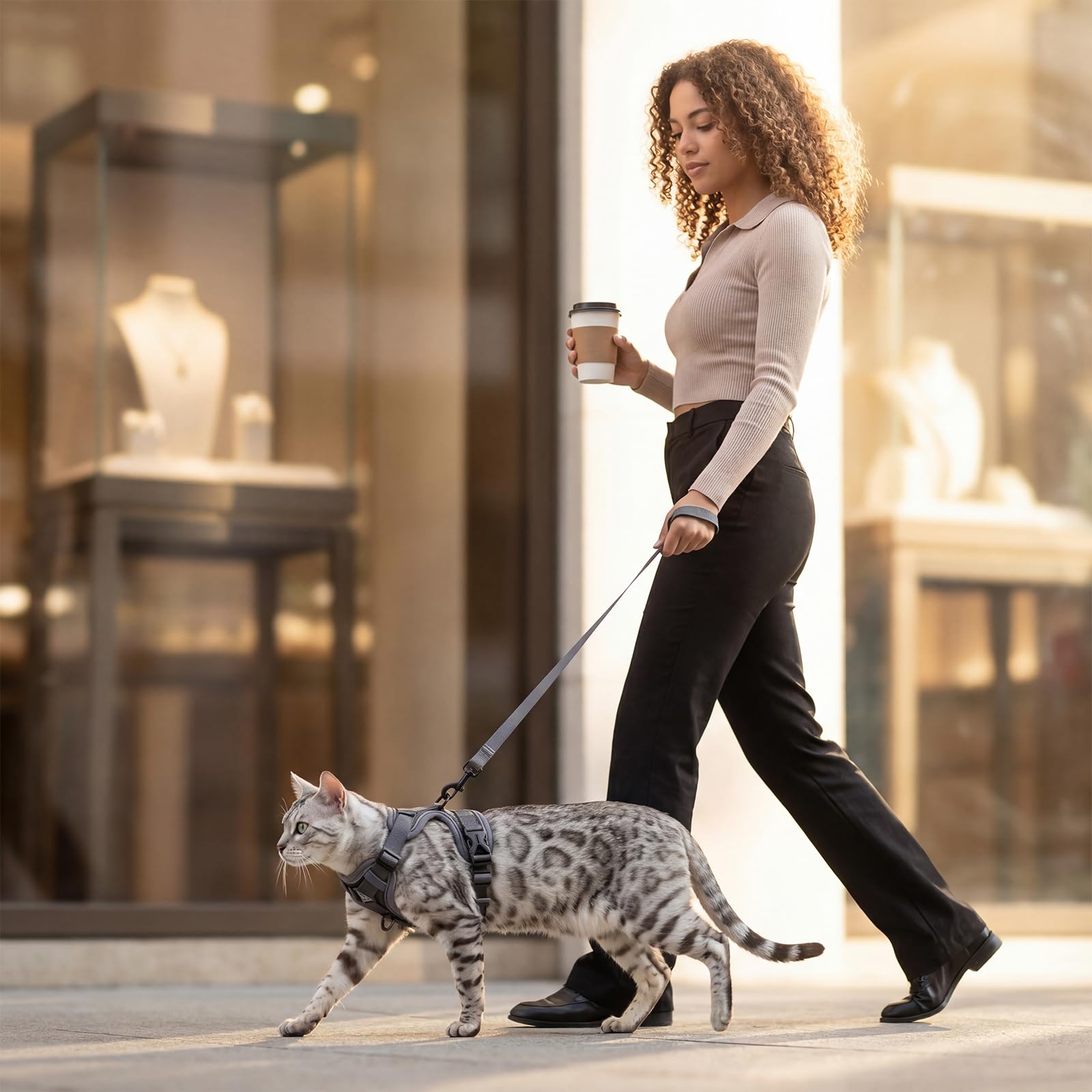 Pangdi emotional-support cat harness worn for calm, everyday activities