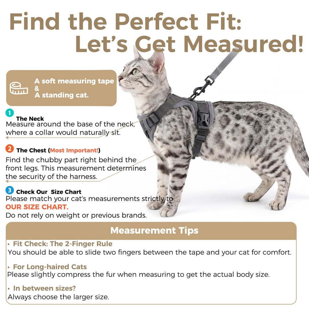 Pangdi escape-proof vest in grey, XL sized for larger cats