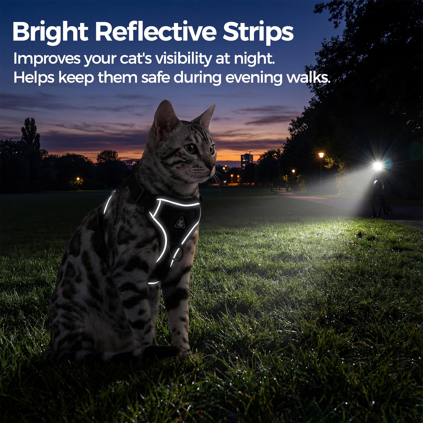 Pangdi tactical XL-fit harness designed for bigger cats