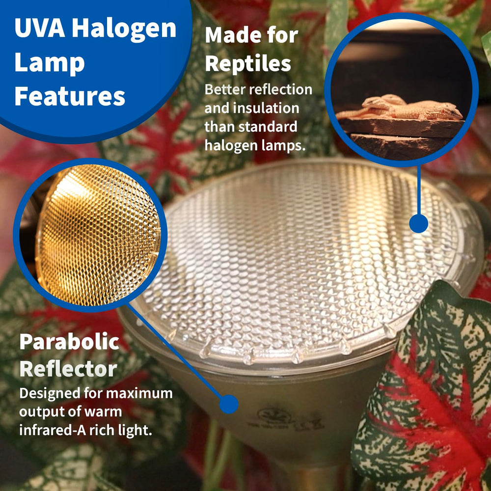 Pangea 50W halogen heat lamp ships in durable packaging for secure delivery.