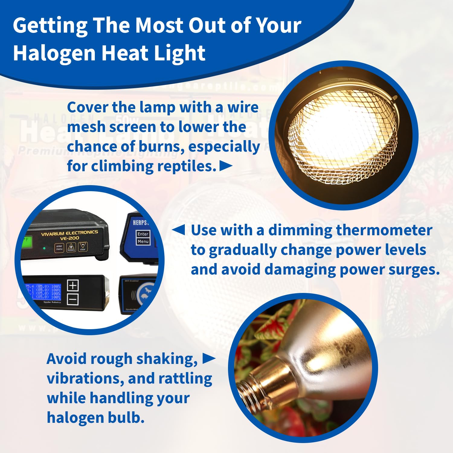 Pangea 50W halogen heat lamp showcases USA outlet design for easy installation.