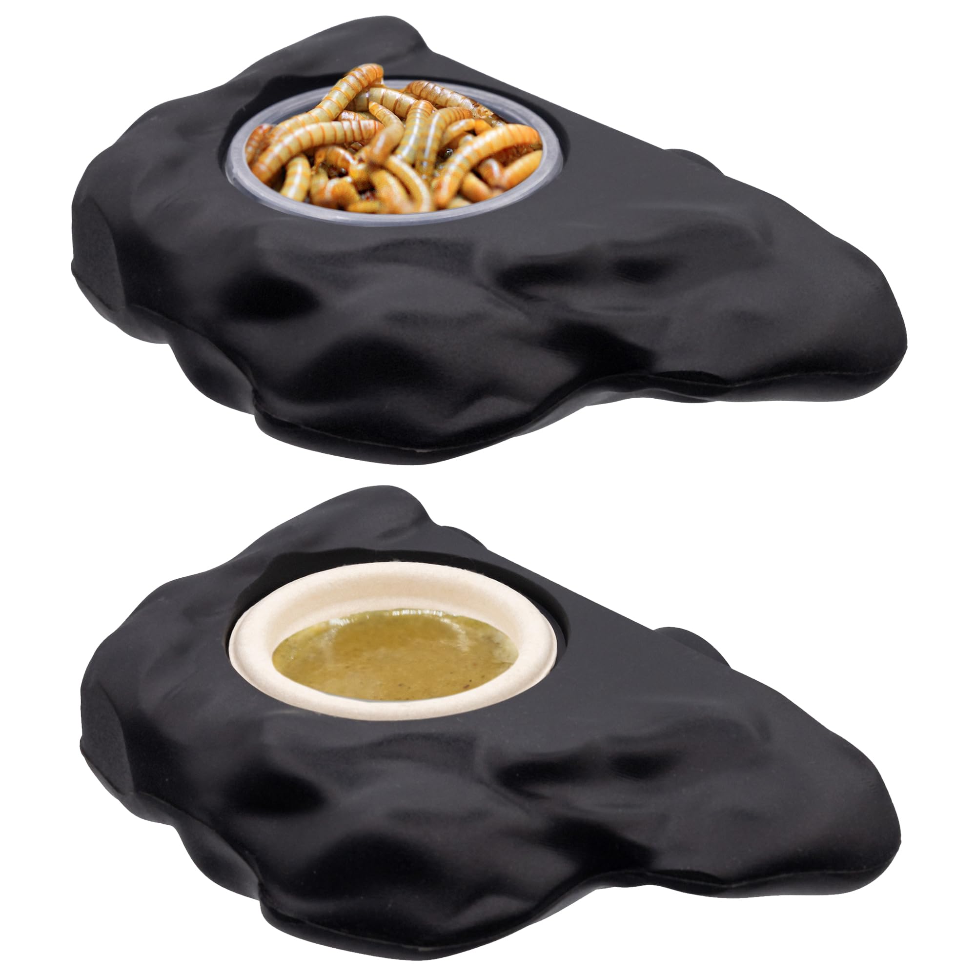 Pangea gecko ledge is dishwasher-safe for quick cleaning
