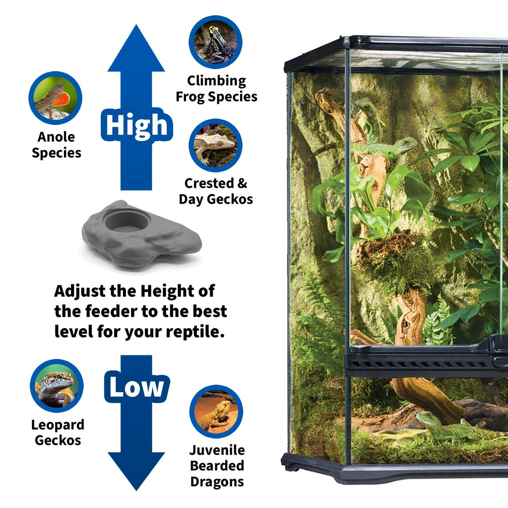 Pangea gecko ledge suitable for crested day geckos and tree frogs.