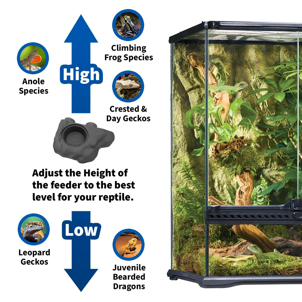 Pangea gecko ledge enhances terrarium feeding setup