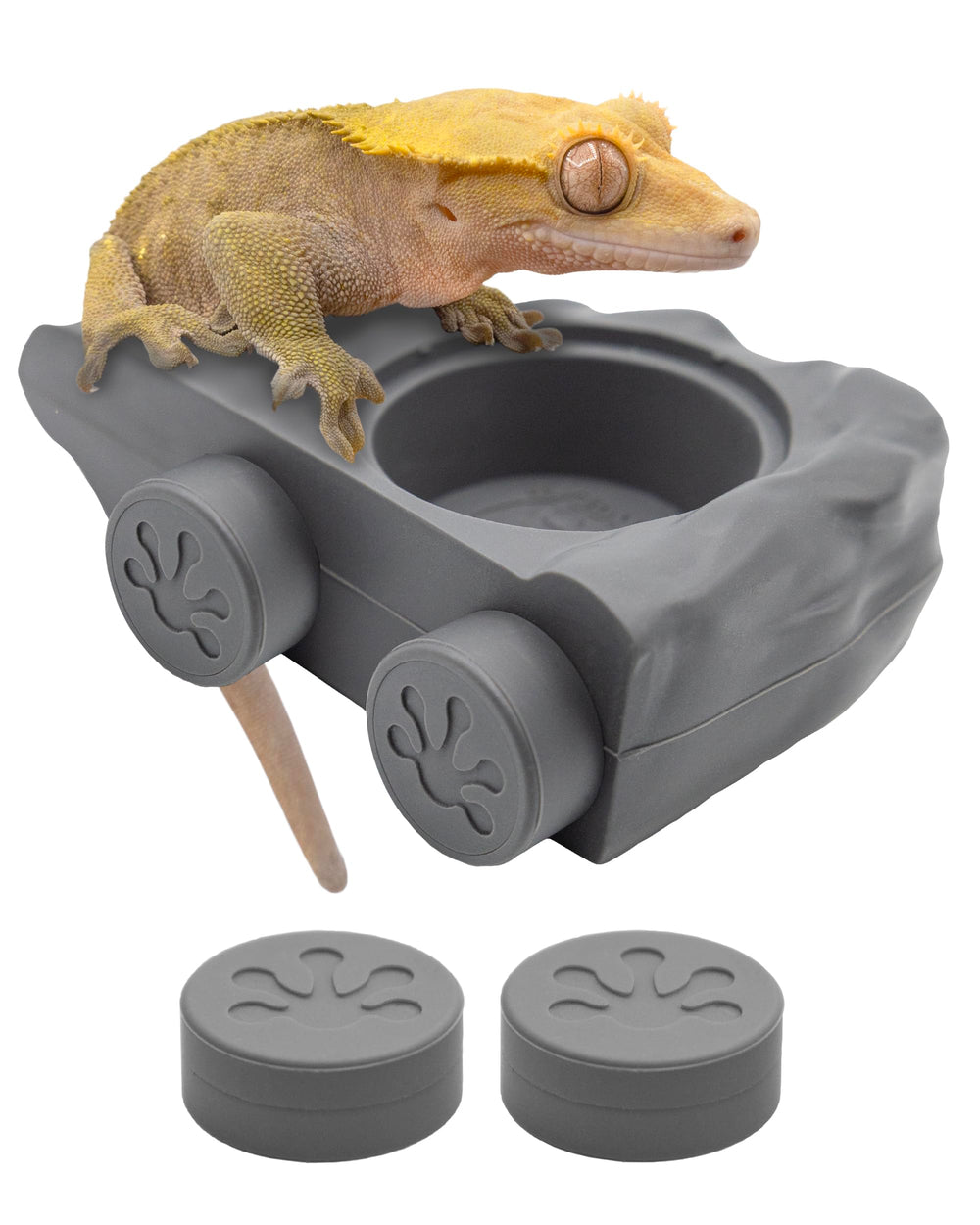 Pangea silicone gecko feeding ledge with magnets provides secure meals through terrarium glass.