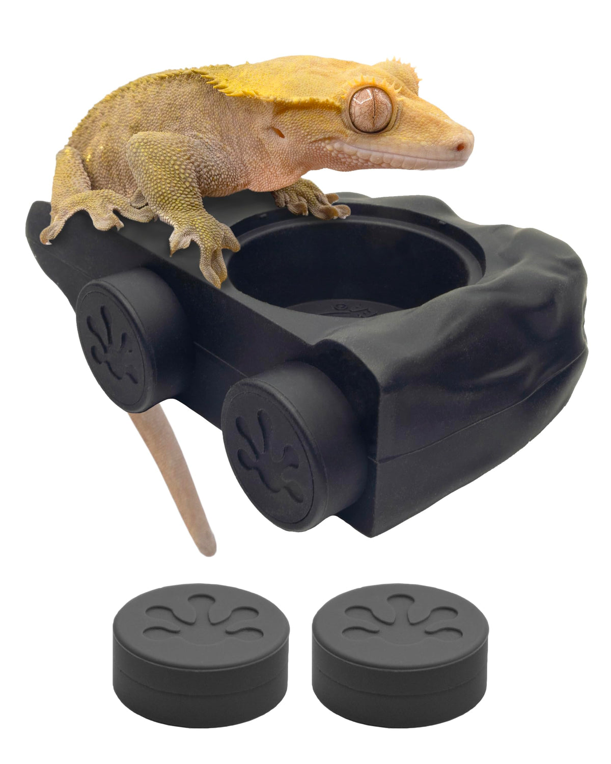 Pangea silicone gecko feeding ledge with magnets secures food dish through glass