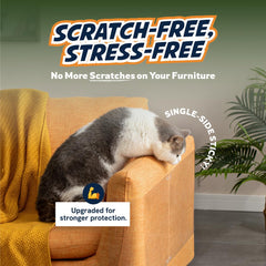 Panther Armor clear sheets on a large sofa provide an invisible barrier against scratching.