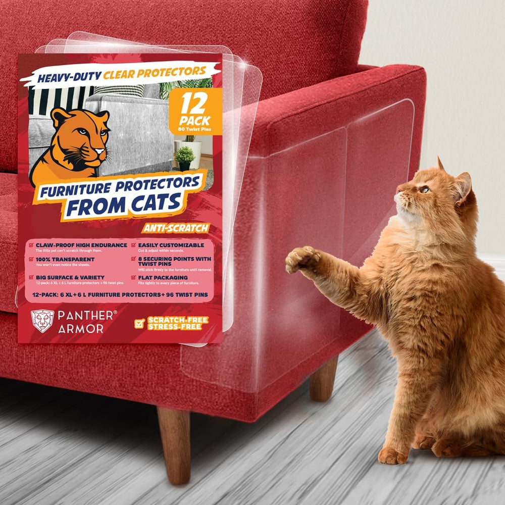Panther Armor clear couch scratch protector XL sheet on fabric sofa protects fabric from claws.