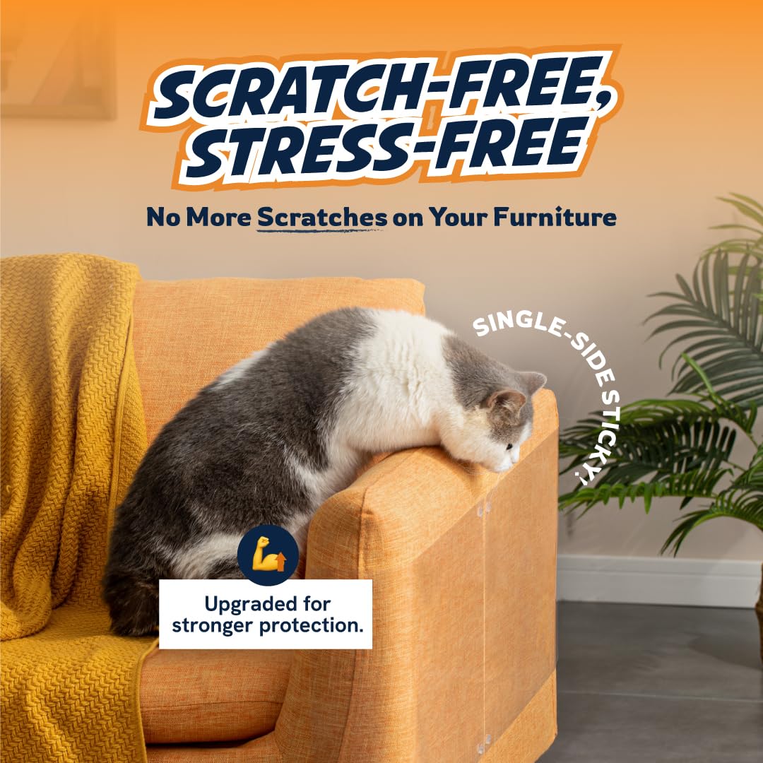 Panther Armor clear sheets on fabric sofa provide invisible protection against scratches.