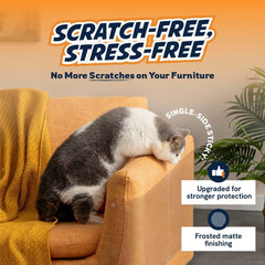 Panther Armor large sheets cover sofa area for extended protection from scratches.