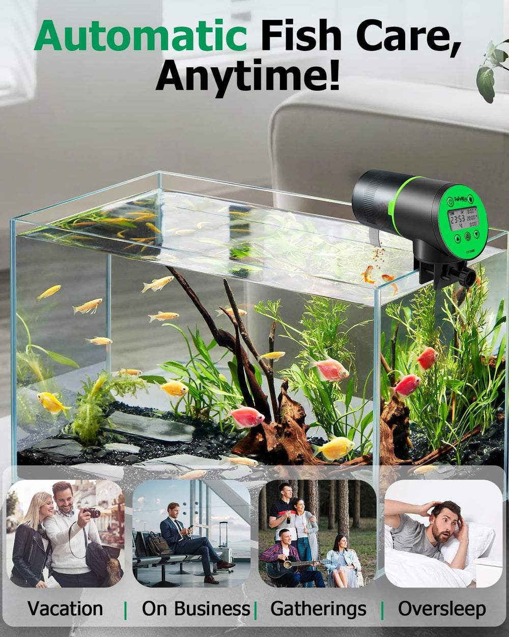 Papettly compact design for easy placement in any tank