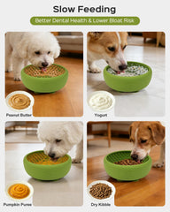 Freeze enrichment option with PapiCola bowl for extended play
