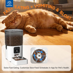 PAPIFEED dishwasher-safe parts simplify cleaning and odor control.