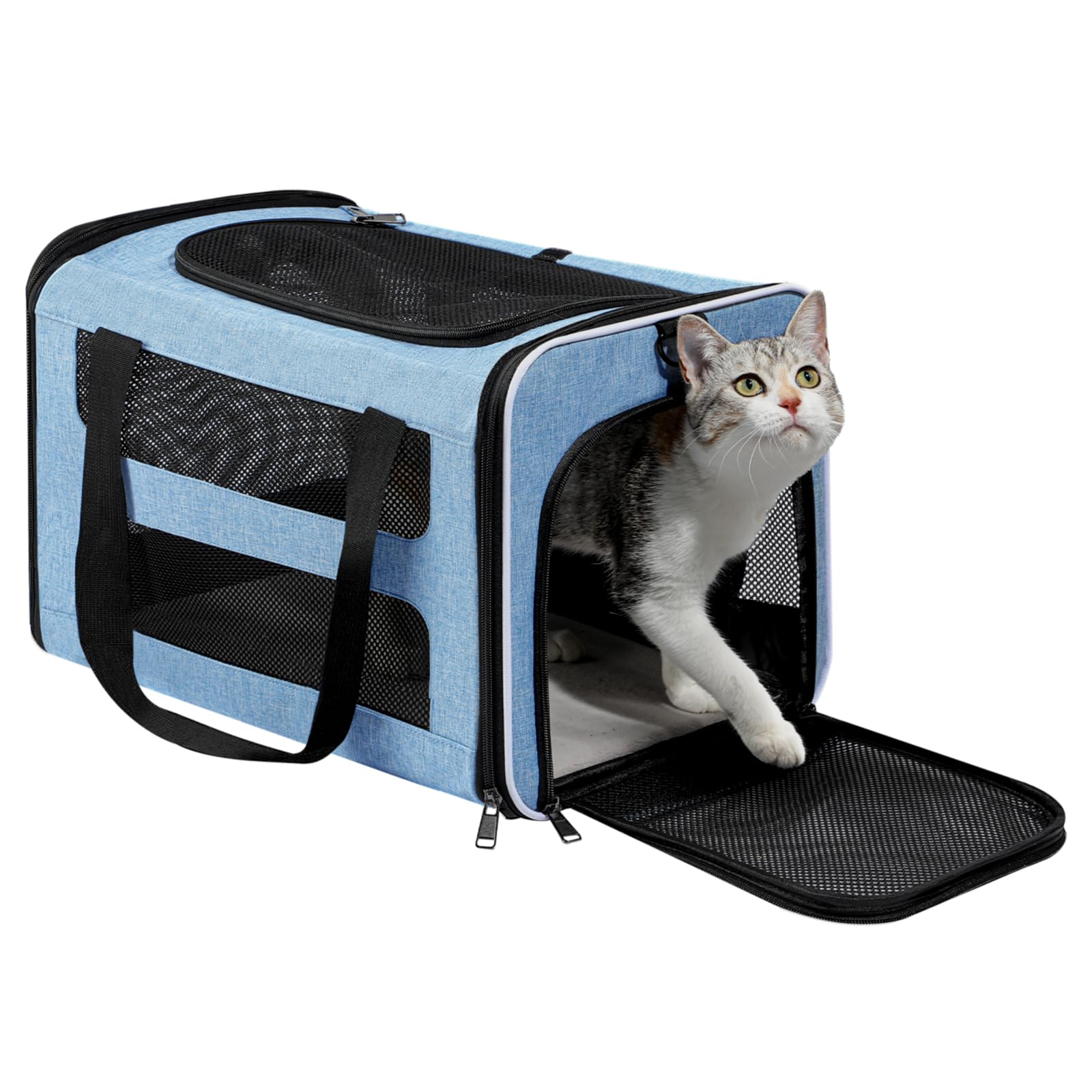 PAPZER cat carrier soft-sided blue front view highlighting spacious mid-size pet space