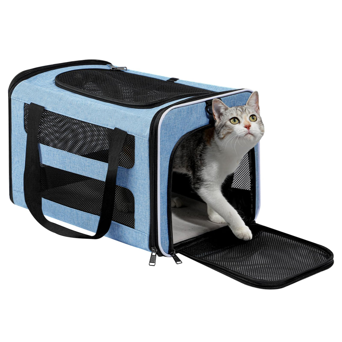 PAPZER cat carrier soft-sided blue front view highlighting spacious mid-size pet space
