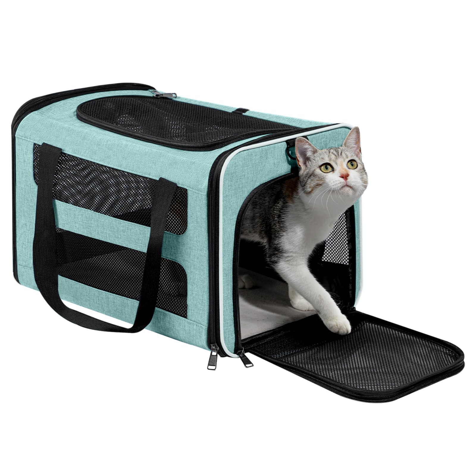 PAPZER cat carrier front view in teal, roomy for mid-sized cats during travel