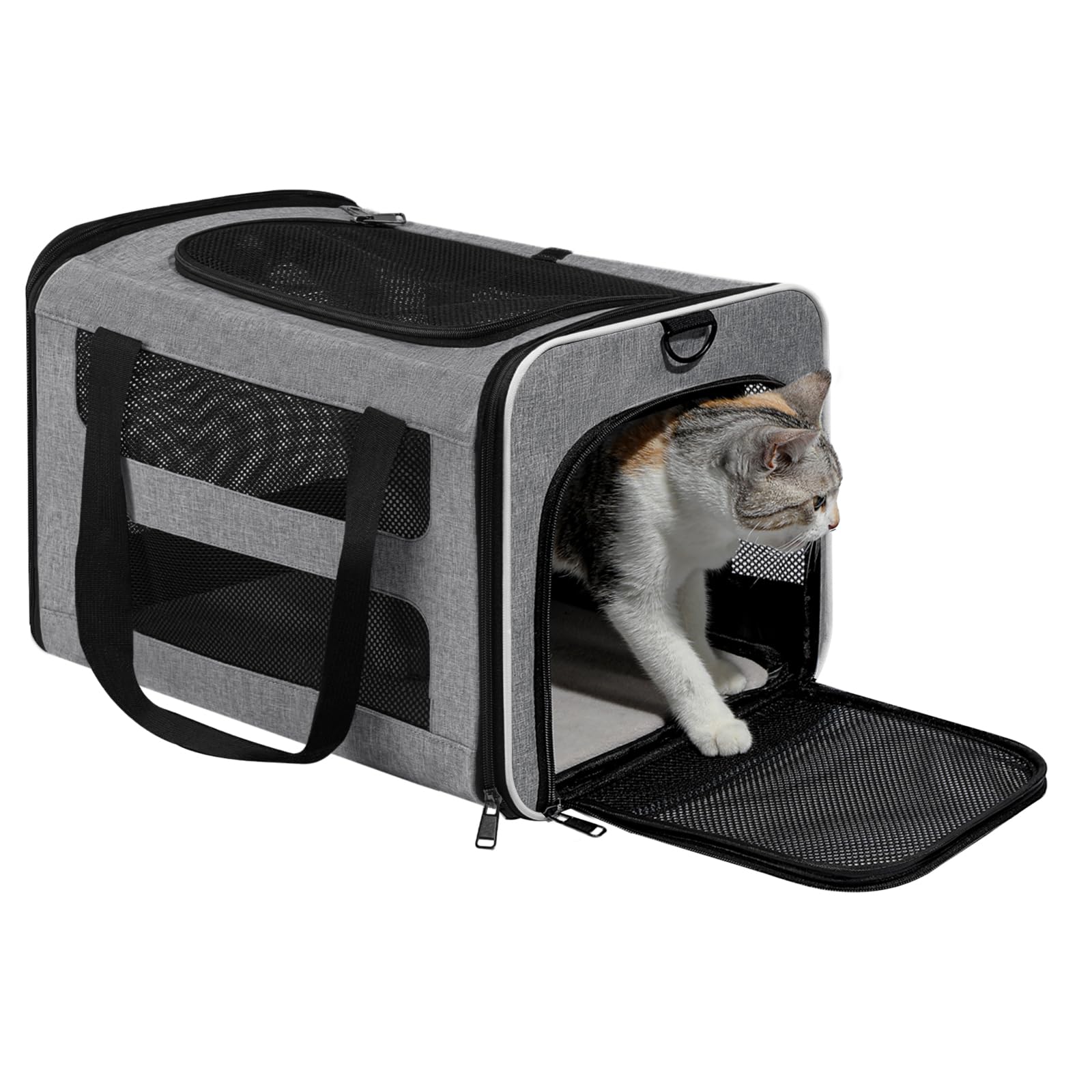 PAPZER cat carrier spacious dimensions suitable for medium cats and small dogs