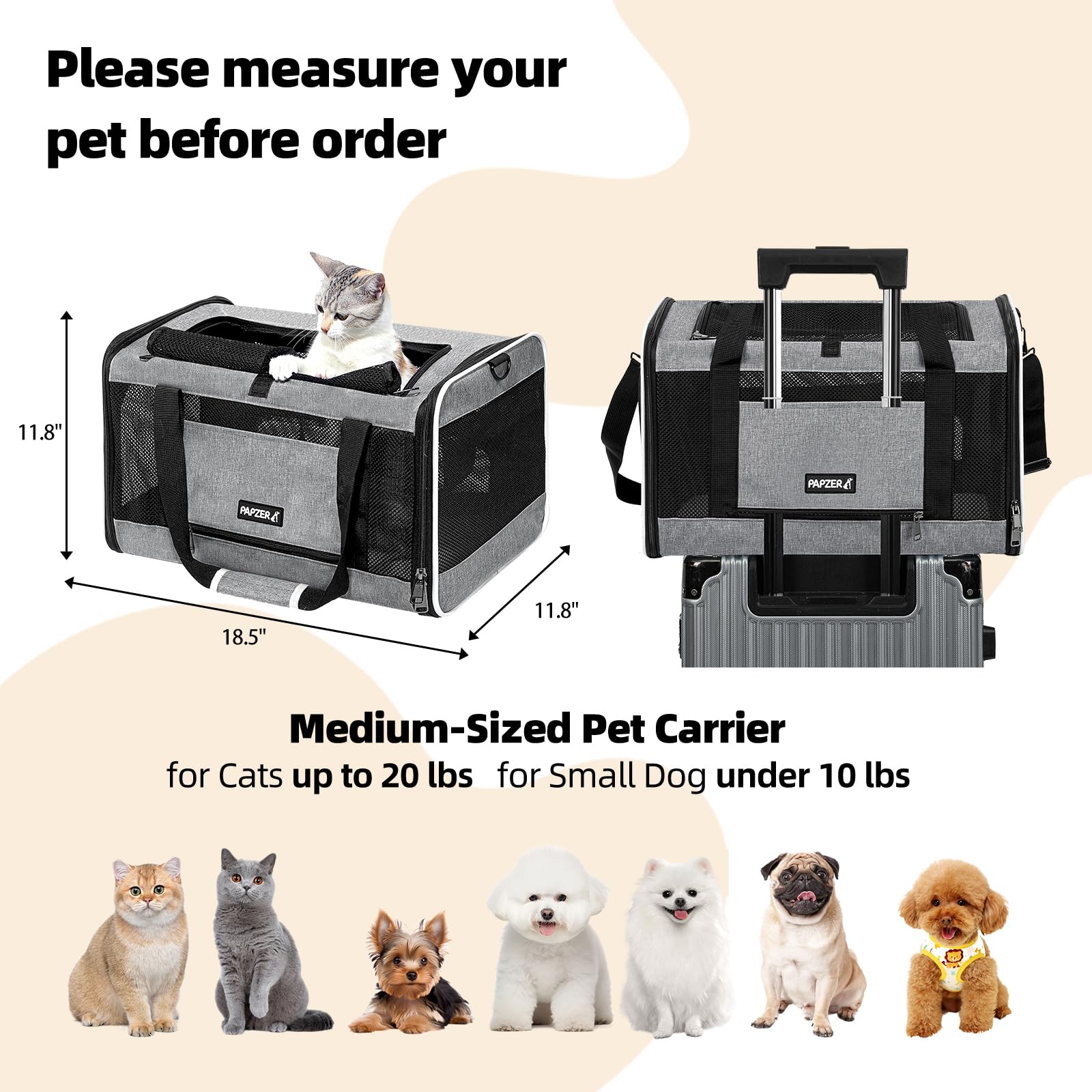 PAPZER cat carrier top entry view for easy access