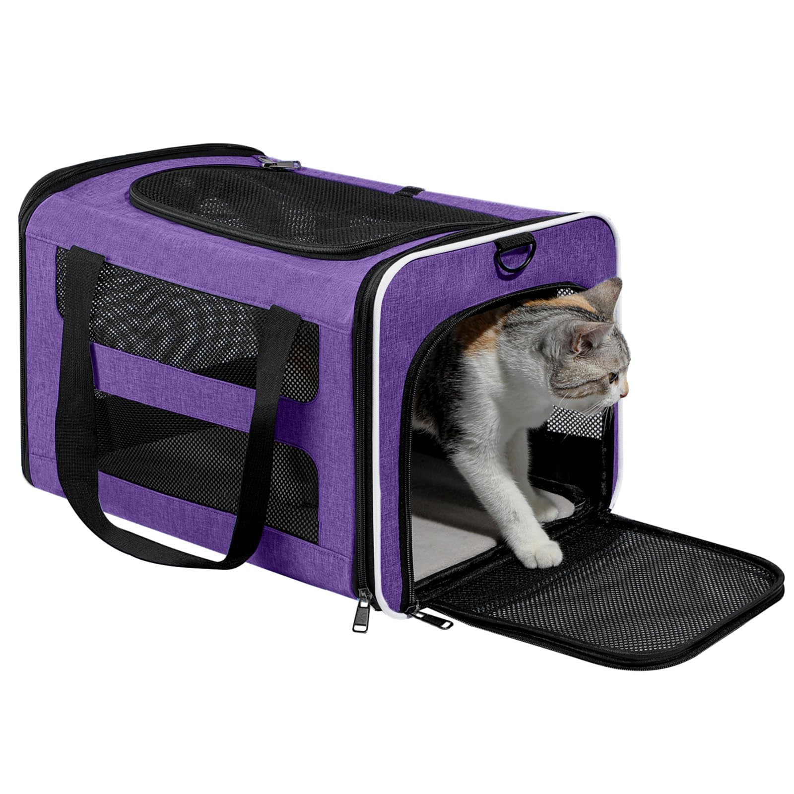 Purple PAPZER design blends with home and car interiors.